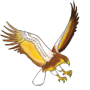 flying eagle illustration