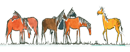 horses illustration